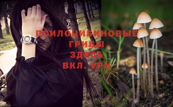 таблы Алексин