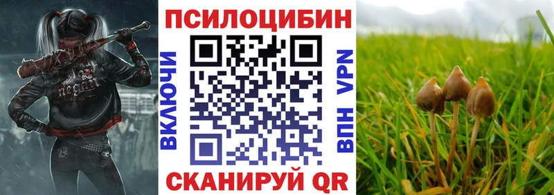 Псилоцибиновые грибы Magic Shrooms  МЕГА зеркало  Ачинск  сколько стоит 